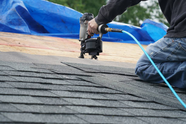 Best Roof Maintenance Services  in Davis, OK