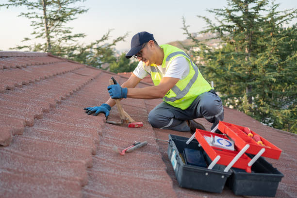 Best Roof Repair Services  in Davis, OK